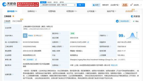 上海临港新片区投资控股集团资本实力显著增强，注册资本增至210.7亿元，业务版图再扩张